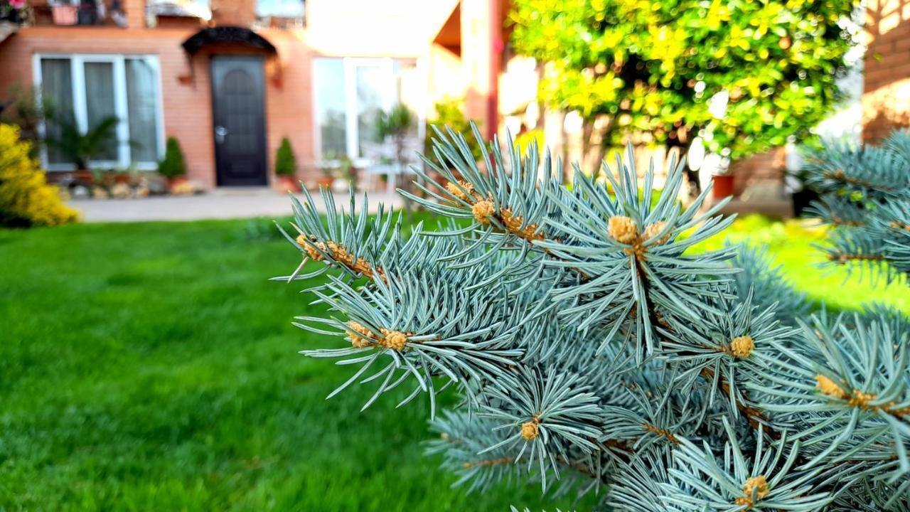 Green Garden Тбілісі Екстер'єр фото