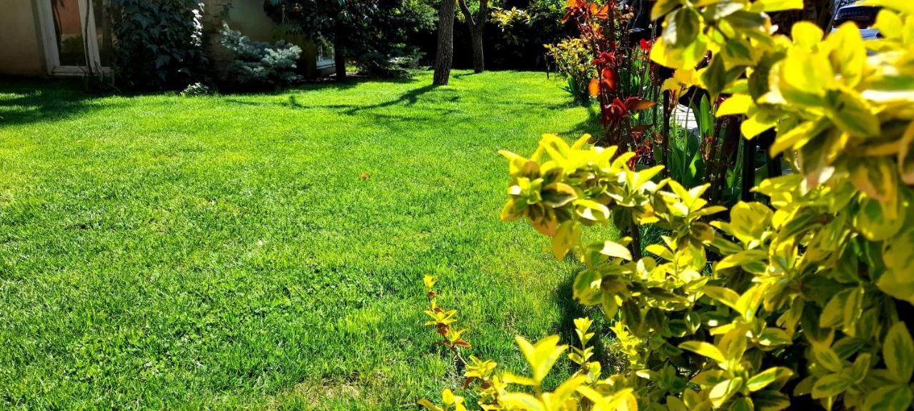Green Garden Тбілісі Екстер'єр фото