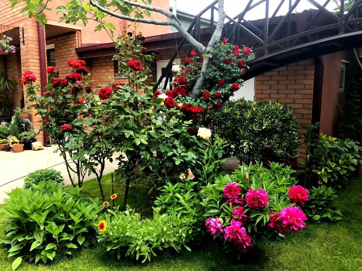 Green Garden Тбілісі Екстер'єр фото