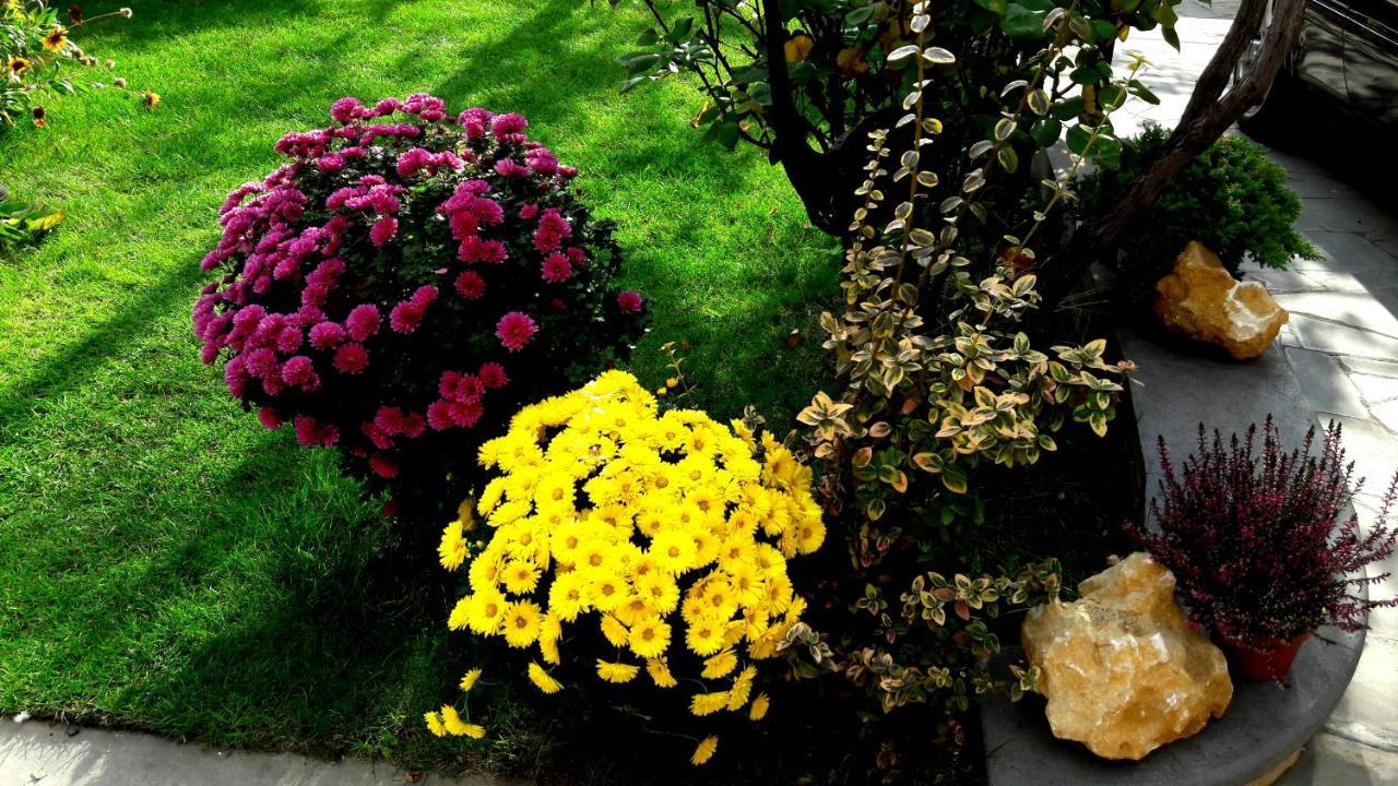 Green Garden Тбілісі Екстер'єр фото