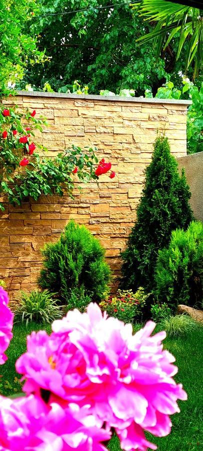 Green Garden Тбілісі Екстер'єр фото